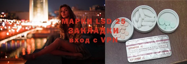 индика Арсеньев