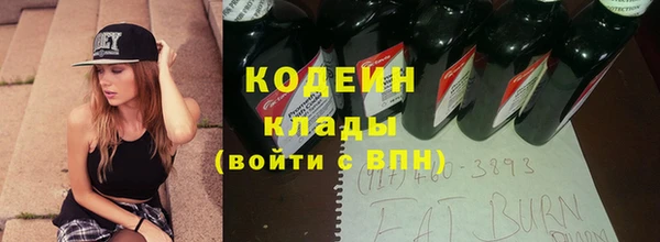 индика Арсеньев