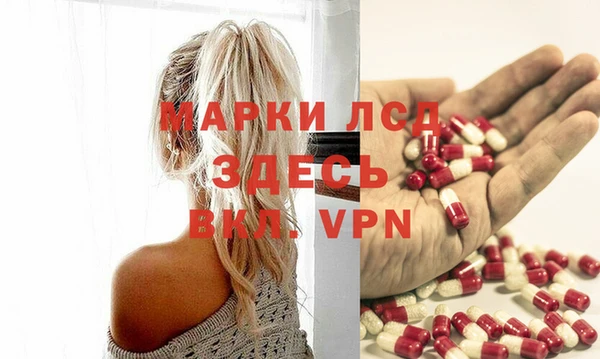 индика Арсеньев