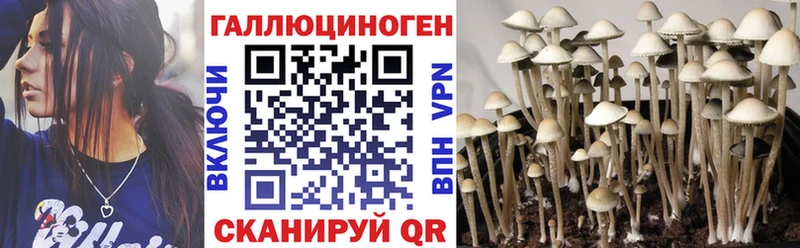 Псилоцибиновые грибы MAGIC MUSHROOMS Шатура