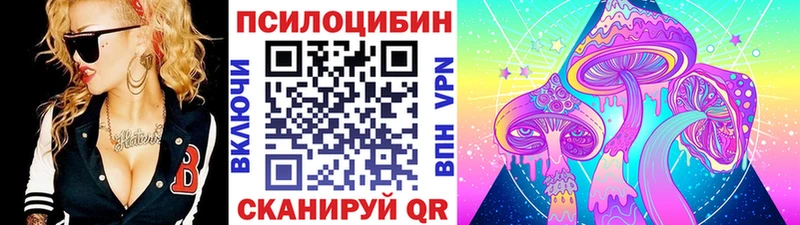 магазин продажи   Шатура  Галлюциногенные грибы Magic Shrooms 